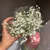 دسته متوسط گل عروس