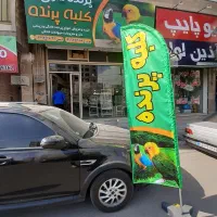 خریدار قناری عروس هلندی و سهره و مرغ عشق