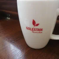 استخدام نیروی انتظامات