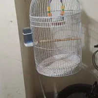 قفس باپایه