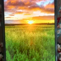 گوشی موبایل A13