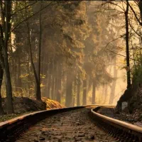 جذب نیرو خانم