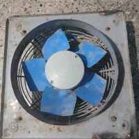 فن مارک دمنده