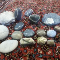 سنگ فسیل|کلکسیون اشیاء عتیقه|زنجان, |دیوار