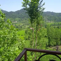 اجاره ویلاباچشم انداز زیبا روبه باغ چای و جنگل|اجارهٔ کوتاهمدت ویلا و باغ|فومن, |دیوار