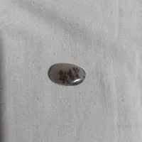 سنگ شجر|جواهرات|زنجان, |دیوار