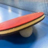 استخدام مربی پینگ پنگ