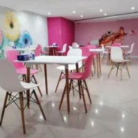 صندلی آریافایبر|میز و صندلی غذاخوری|چهاردانگه (تهران), |دیوار