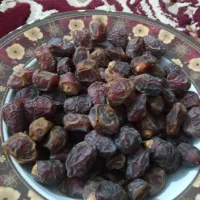 خرمایی بریمی  محصول امسال  کیلو250تومان تنگستان