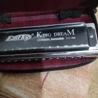 سازدهنی کروماتیک