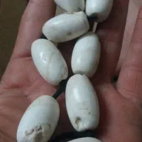 مهره محبت کهنه|کلکسیون اشیاء عتیقه|تهران, شوش (باغ آذری)|دیوار