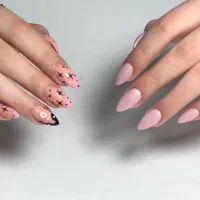 تخفیف خدمات و آموزش با ارائه مدرک|خدمات آرایشگری و زیبایی|شیراز, فضل‌آباد|دیوار