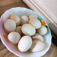 تخم مرغ دورگه نطفه دار