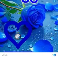 سرمایه گذار میخوا برای کار با حاشیه سود خدب