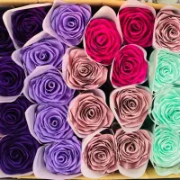 گل ربانی تک شاخه