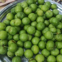 طبیعت گردی و کوهنوردی