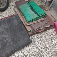 فرش 2در3 و موکت و نمد|فرش|گنبد کاووس, |دیوار