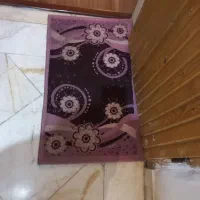 پادری ۳ عدد|پادری|تهران, هروی|دیوار
