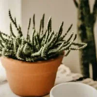 برای شغل دوم راهنمایی کنید