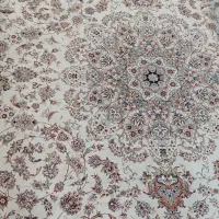 فرش شونهر آلمان|فرش|مشهد, رضاشهر|دیوار