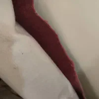 موکت