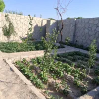 زمین ویلایی باسمنج
