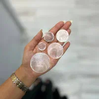 فروش صدف پولکی بصورت عمده