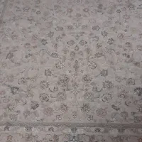 فرش بسیار زیبا و تمیز|فرش|پرند, فاز ۳|دیوار