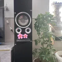 اسپیکر مکسیدر|سیستم صوتی خانگی|رفسنجان, |دیوار