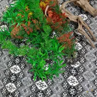 لوازم اکواریوم