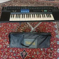 ارگ سالم وتمیز