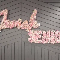 استخدام منشی