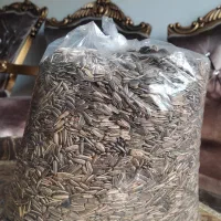 تخمه مناسب پرنده|لوازم جانبی حیوانات|تهران, بهمن یار|دیوار