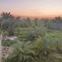 فروش باغ