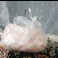 چربی دور شکم گوسفندی