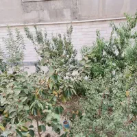 آپارتمان دروازه شمیران فروشی