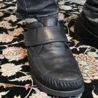 کفش مردانه اورجینال سوئیس|کیف، کفش، کمربند|ارومیه, |دیوار