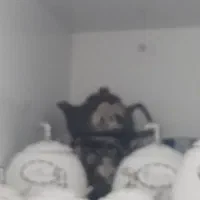 بشقاب گلسرخ|ظروف سرو و پذیرایی|شیراز, شهرک کوثر|دیوار