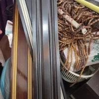 آویز سنتی سالم و زیبا|صنایع دستی و سایر لوازم تزئینی|بابل, |دیوار