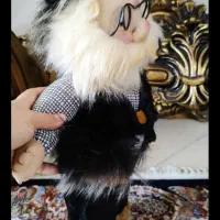 عروسکهای ننه سرما و بابا سرما|صنایع دستی و سایر لوازم تزئینی|فردیس, شهرک راه آهن|دیوار