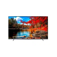 ال‌ای‌دی‌پاناسونیک‌۵۵