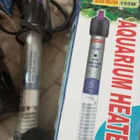 لوازم آکواریوم|ماهی|مشهد, رده|دیوار