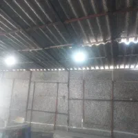 ایرانت فشروده تمیز