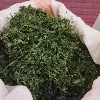 سبزی خشک قرمه سبزی محصول کشاورز،زرشک کوهی