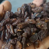 خوردنی و آشامیدنی|خوردنی و آشامیدنی|خمینیشهر, |دیوار