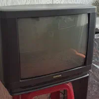 تلویزیون