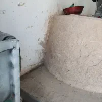 شاطر واسه نان محلی