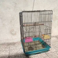دوقفس بزرگ مخصوص کاسکووطوطی سانان بزرگ