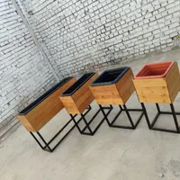 استند گل طبیعی|گل و گیاه طبیعی|اصفهان, قهجاورستان|دیوار
