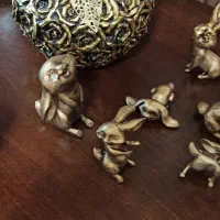 خرگوش های پولیستر خارجی